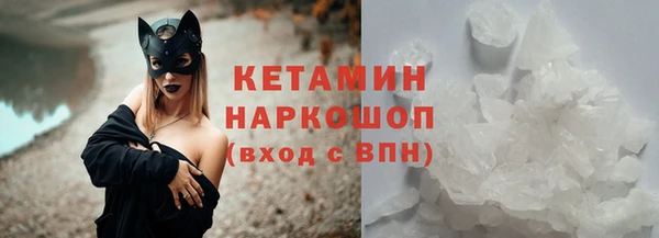 прущие грибы Козельск