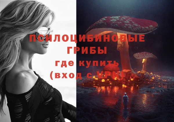 индика Дмитровск