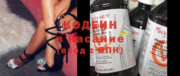 ПСИЛОЦИБИНОВЫЕ ГРИБЫ Абаза
